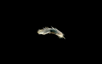Neon Feather On A Black Background Wallpaper And Image