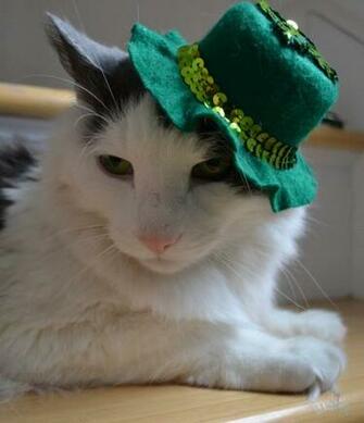 Ah St Patrick S Day Is There Anyone That Doesn T Love This Holiday