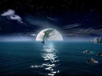 Image Best Dolphin Desktop Wallpaper Dream Screensaver