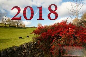 Happy New Year Wallpaper HD