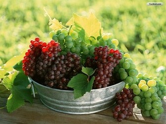 Youwall Grapes Wallpaper Photo