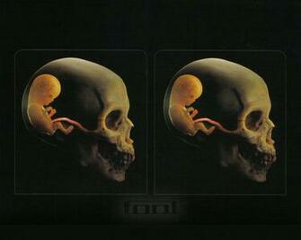 Tool Wallpaper Pictures Photos And Background