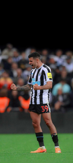 Bruno Guimar Es Wallpaper