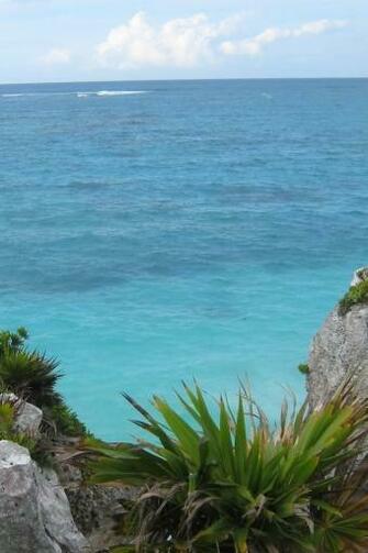 Tropical Beach iPhone HD Wallpaper