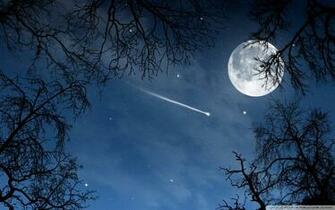 Shooting Star 4k HD Desktop Wallpaper For Ultra Tv