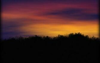 Natural Scenery Wallpaper The Sunset Sun
