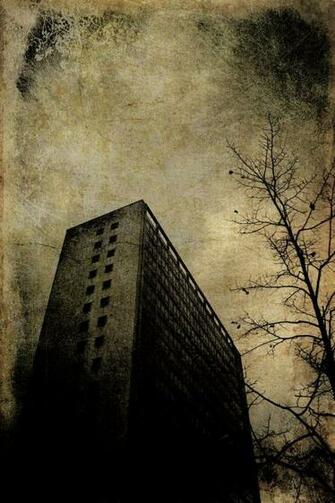 Manchester By Liz Fraser