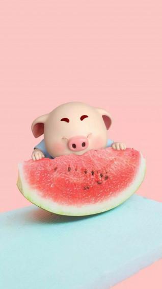 Watermelon iPhone Wallpaper
