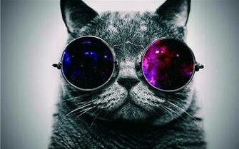 X38 Inch Wallpaper Cool Cat Poster Custom Art Print Unframed Silk