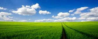 Desktop Full HD Wallpaper In