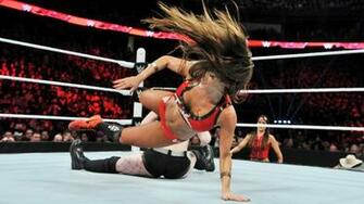 Nikki Bella And Brie Wwe Divas Championship