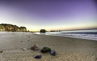 Shells On The Beach