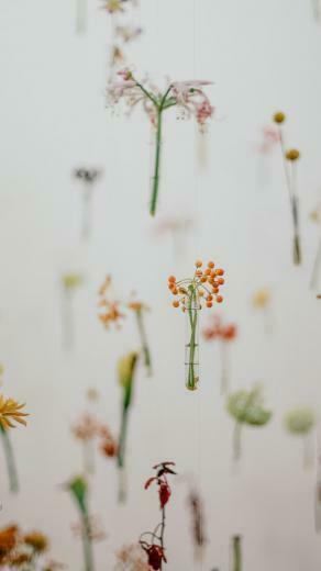 Minimalist Spring Background For Android Image