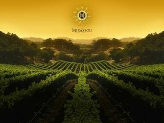 Vineyard Wallpaper
