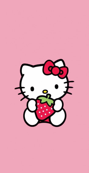 Cute Hello Kitty Wallpaper Ideas Soft Pink Background Idea