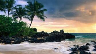 Tropical Beach Wallpaper For iPhone With