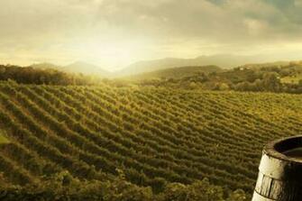 Villa Esposto Website Background