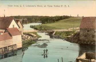 From C I Lidstone S Store At Tyne Valley