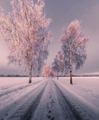 Snow Aesthetic Picture Wallpaper