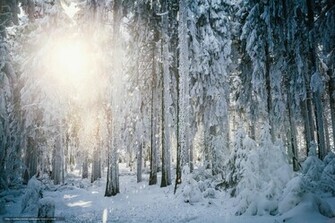 Winter Wonderland Desktop Wallpaper Weddingdressin