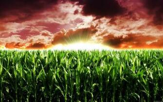 Featured Desktop HD Wallpaper High Res Widescreen