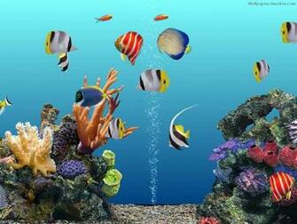 3d Aquarium Wallpaper