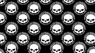 Harley Skull Logo Davidson Logos