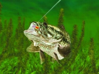 Rapala Wallpaper Pro Fishing Game Pc