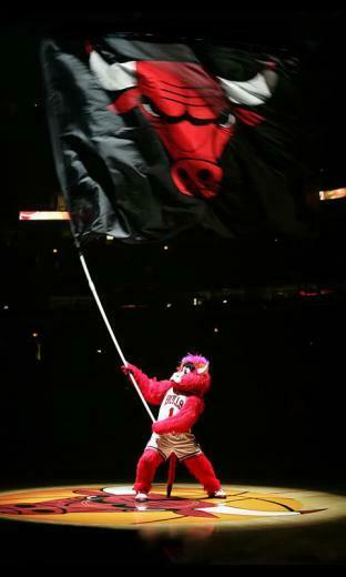 Bulls iPhone Wallpaper