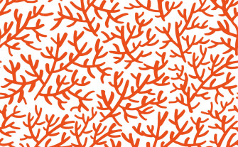 Staghorn Reef Coral Wallpaper For Walls
