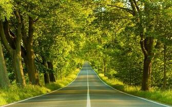 The Avenue Wallpaper Landscape Nature In Jpg Format For