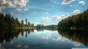 Forest Lake Wallpaper
