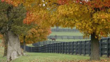 Best Autumn Wallpaper