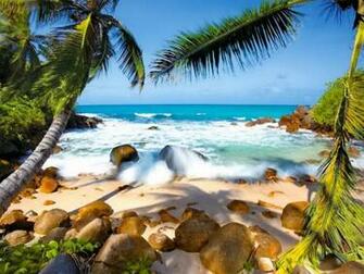 Beach Tropical
