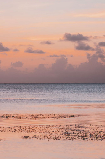 Beach iPhone Wallpaper Ideas Ocean