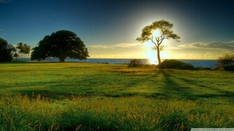 HD Wallpaper Nature Landscape Beautiful