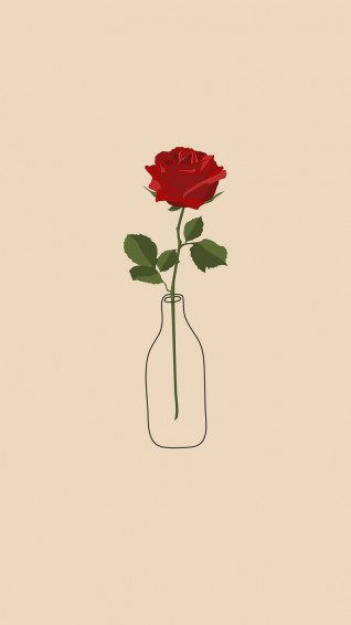 Rose Wallpaper Beautiful HD iPhone Samsung Mobile Phone