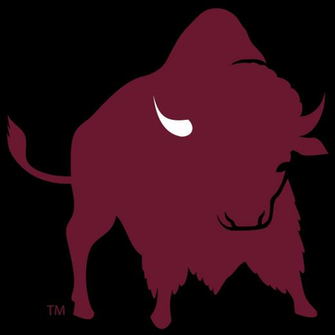 West Texas A M University Graphic Standard New
