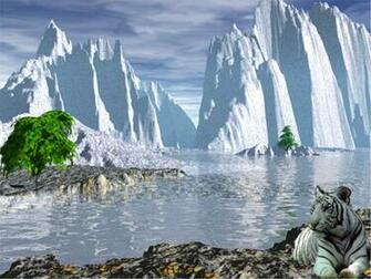 3d Cool Image White Tiger Wallpaper In What A