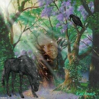 Steve Perry Image Shaman Of The Forest