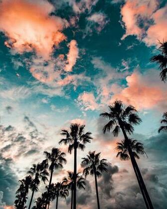 iPhone Wallpaper HD Black 4k And High Quality
