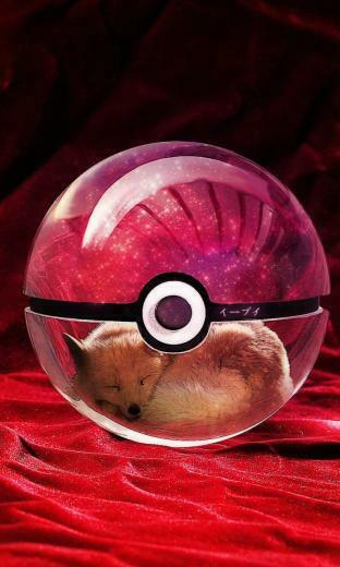 Real Eevee Pokeball Wallpaper