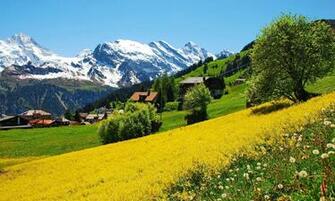 Switzerland HD Wallpaper High Definition iPhone