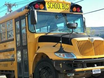 School Bus By Junior Libby
