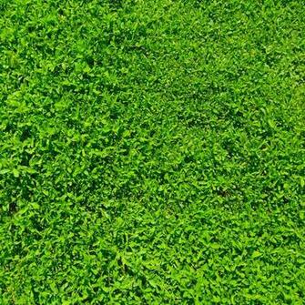 Wallpaper iPad Air iPadminiretina11