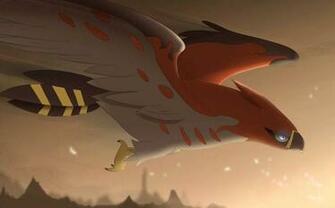 Talonflame HD Wallpaper On