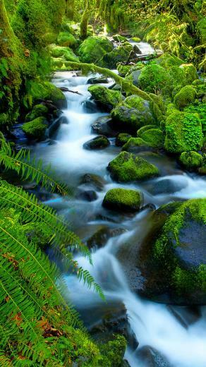 Waterfall iPhone Wallpaper HD