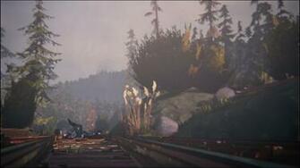 Alpha Coders Video Game Life Is Strange