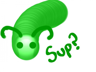 Sup By Sokkas Boomerang