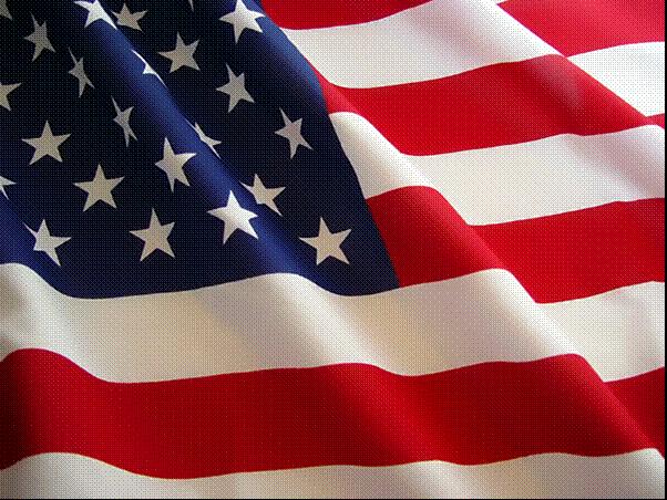 Moleskinex19 American Flag Background